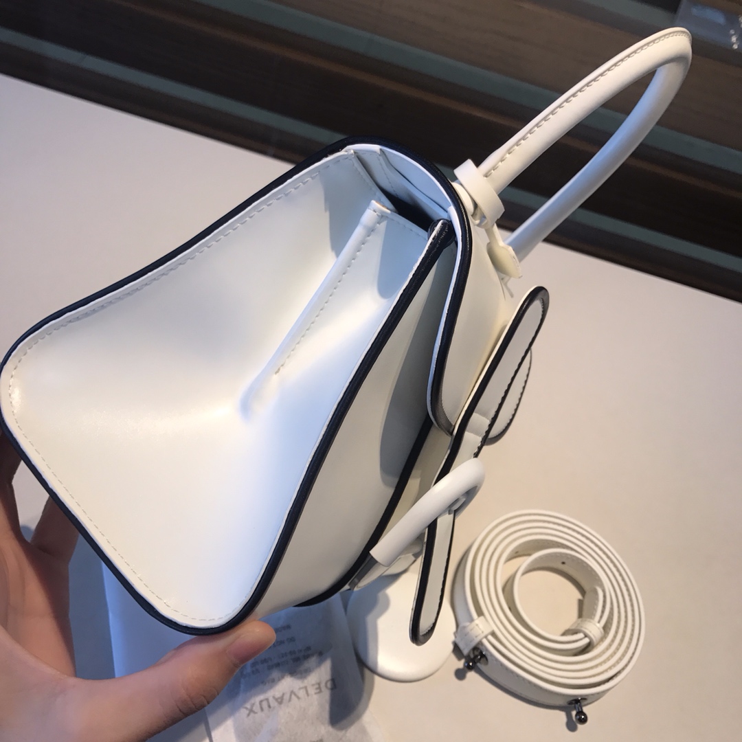 델보 브리앙 복스 토트백 미니